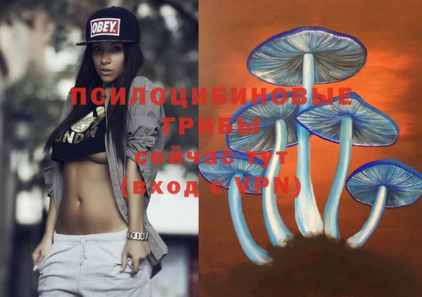 гашиш Заводоуковск