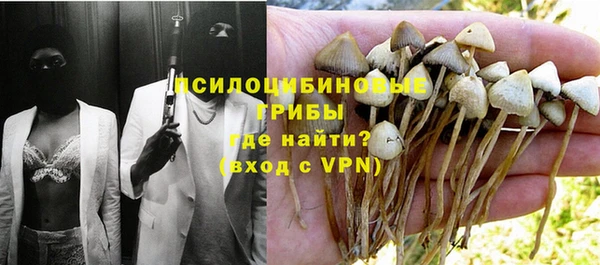 гашиш Заводоуковск