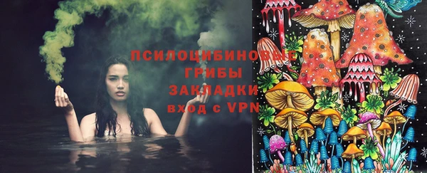 метадон Заволжск
